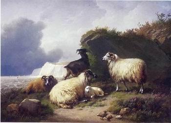 unknow artist Sheep 157 Germany oil painting art